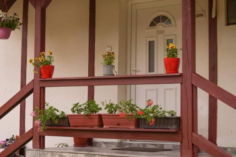 Apartment Dil كولين فاكوف المظهر الخارجي الصورة